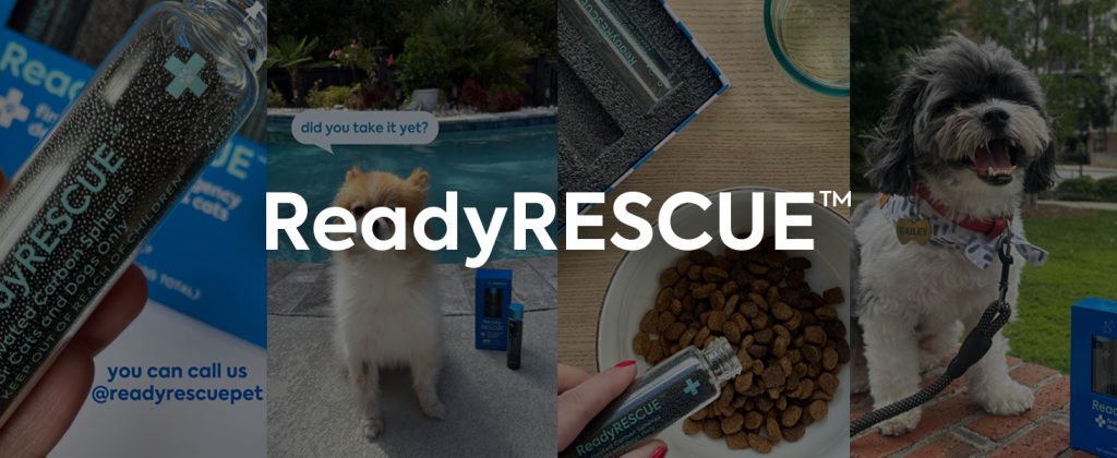 Dr. Cuddles · ReadyRESCUE