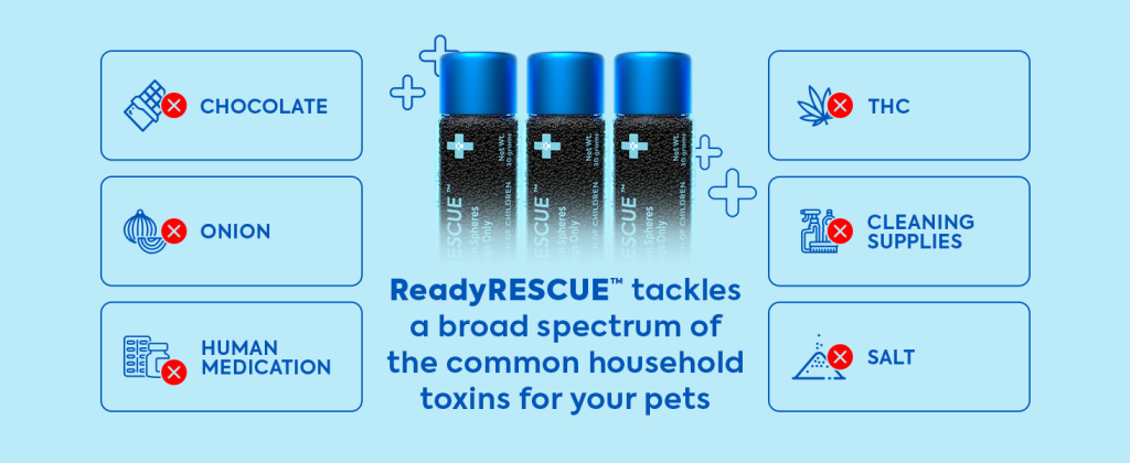 Dr. Cuddles · ReadyRESCUE