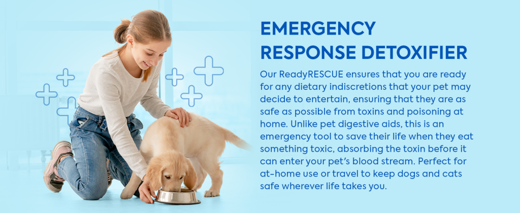 Dr. Cuddles · ReadyRESCUE