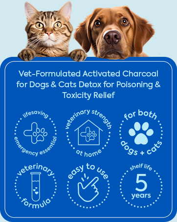 Dr. Cuddles · ReadyRESCUE