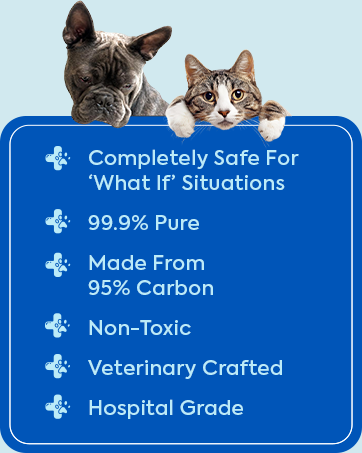 Dr. Cuddles · ReadyRESCUE