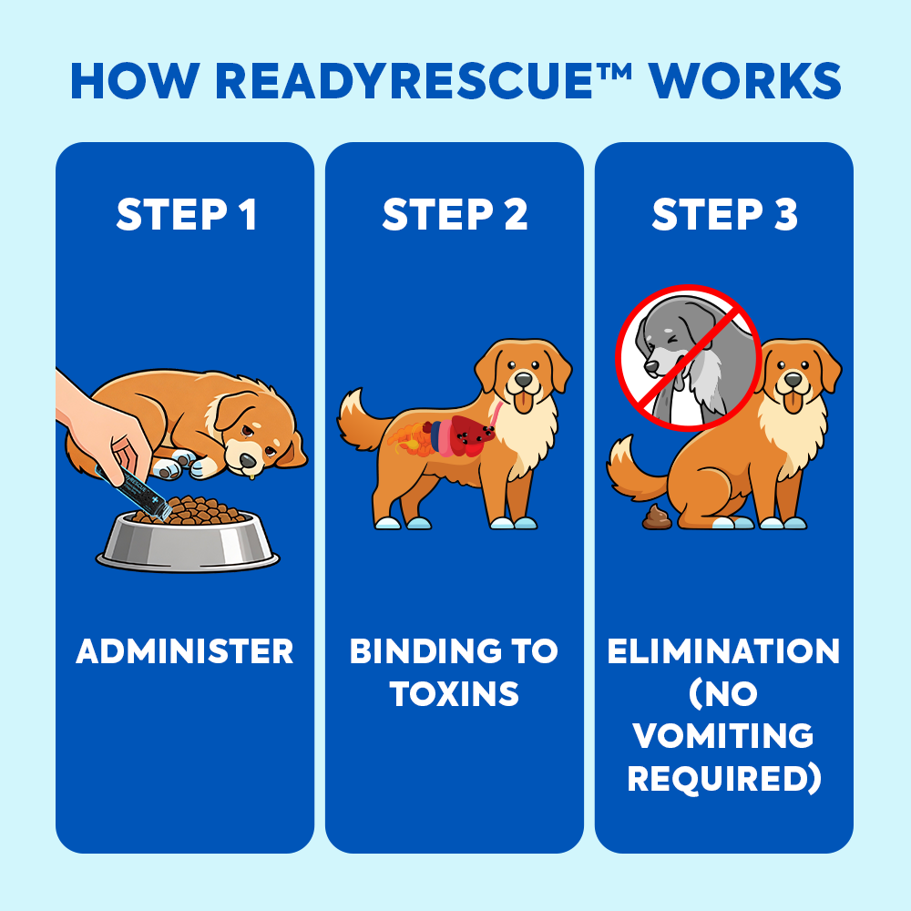 Dr. Cuddles · ReadyRESCUE