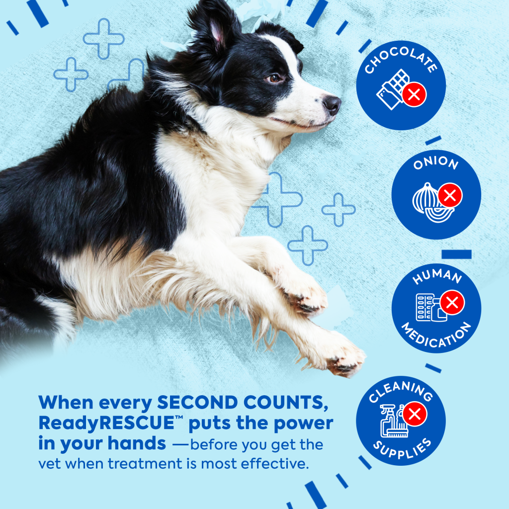 Dr. Cuddles · ReadyRESCUE
