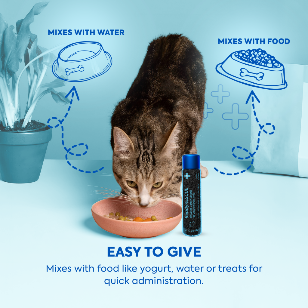 Dr. Cuddles · ReadyRESCUE
